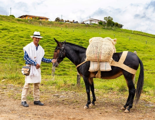 Mule facts